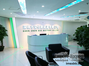 Shenzhen Ace Battery Co.,Ltd.